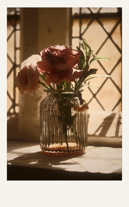 1986 Instant Print